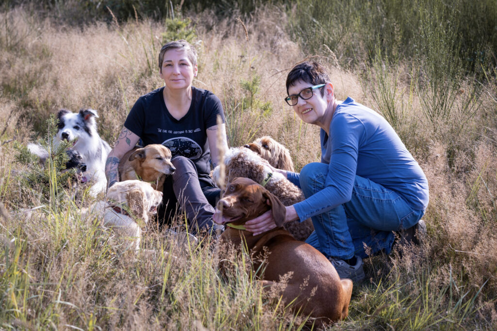 Woods Dog Team